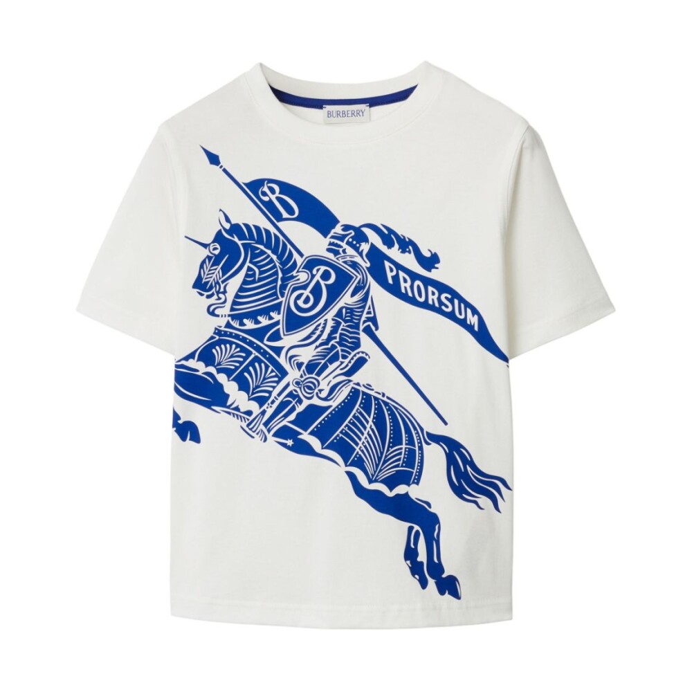 Buy burberry t shirts online best sale