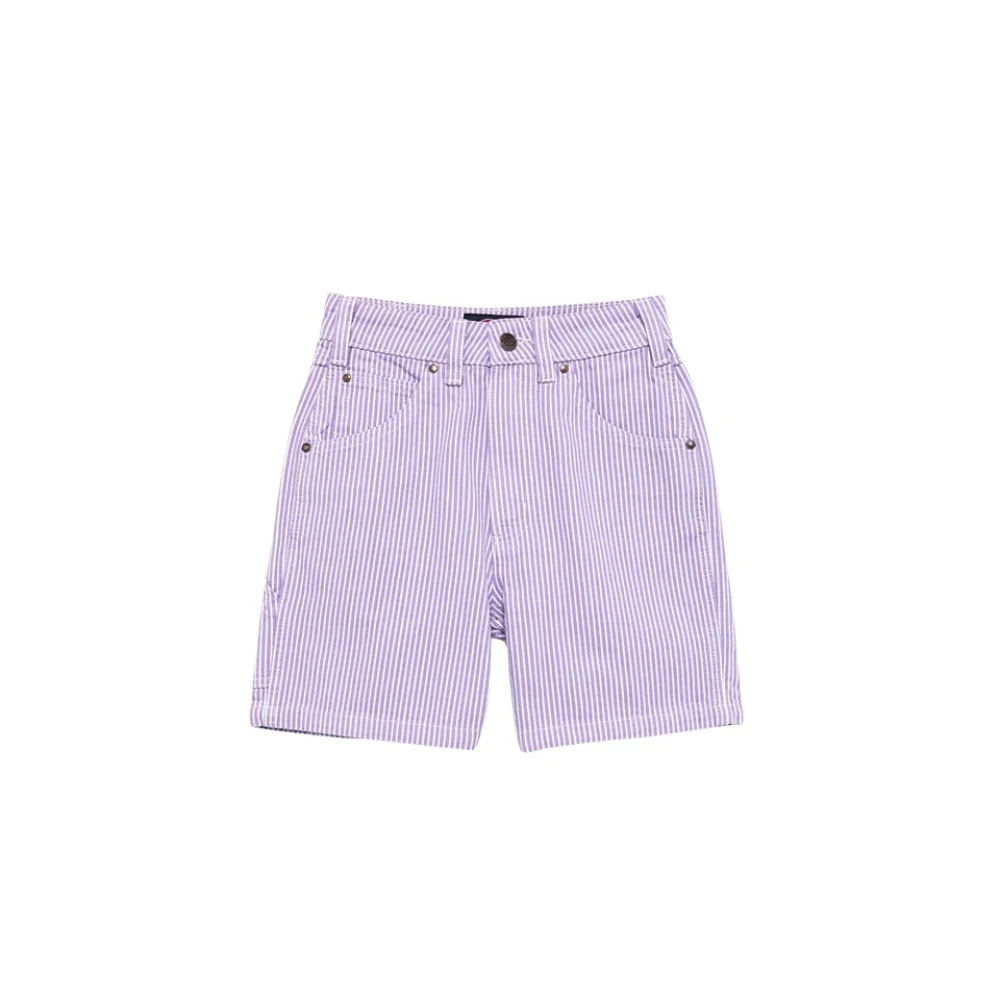 Dickies Gestreepte Canvas Shorts Purple Dames