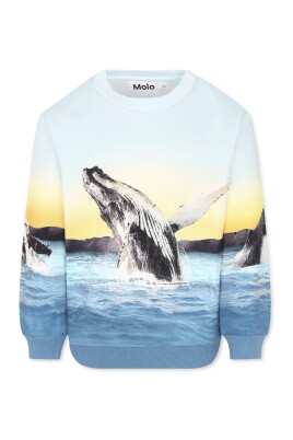 whale-embellished-sweatshirt-in-light-blue