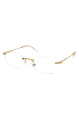 SK1031 Optical Frame