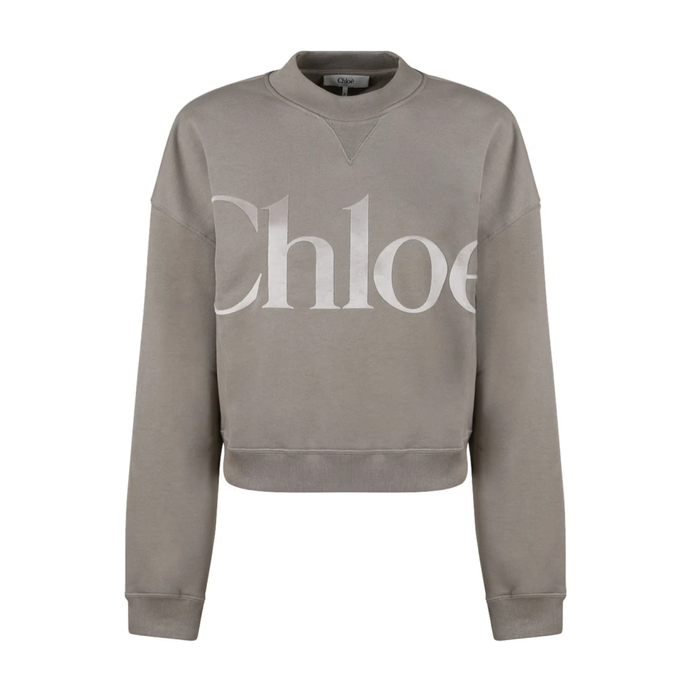 Chloé Stijlvolle Sweaters Collectie Gray Dames