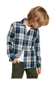 Camicie
