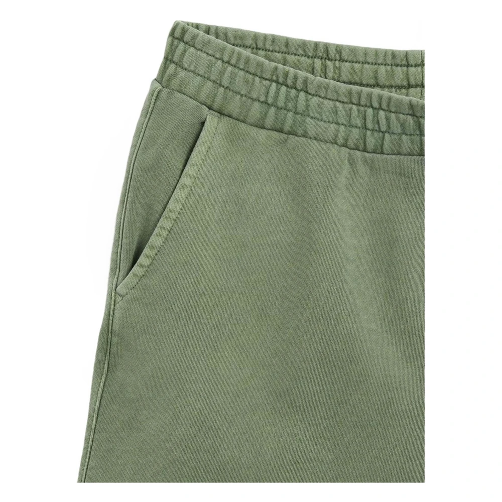 Carhartt WIP Duster Script Shorts Green Dames
