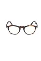 ft6033b-056-optical-frame