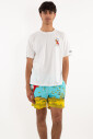 scrooge-dive-swimshorts