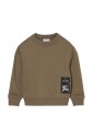 pull-vert-avec-details-de-patch