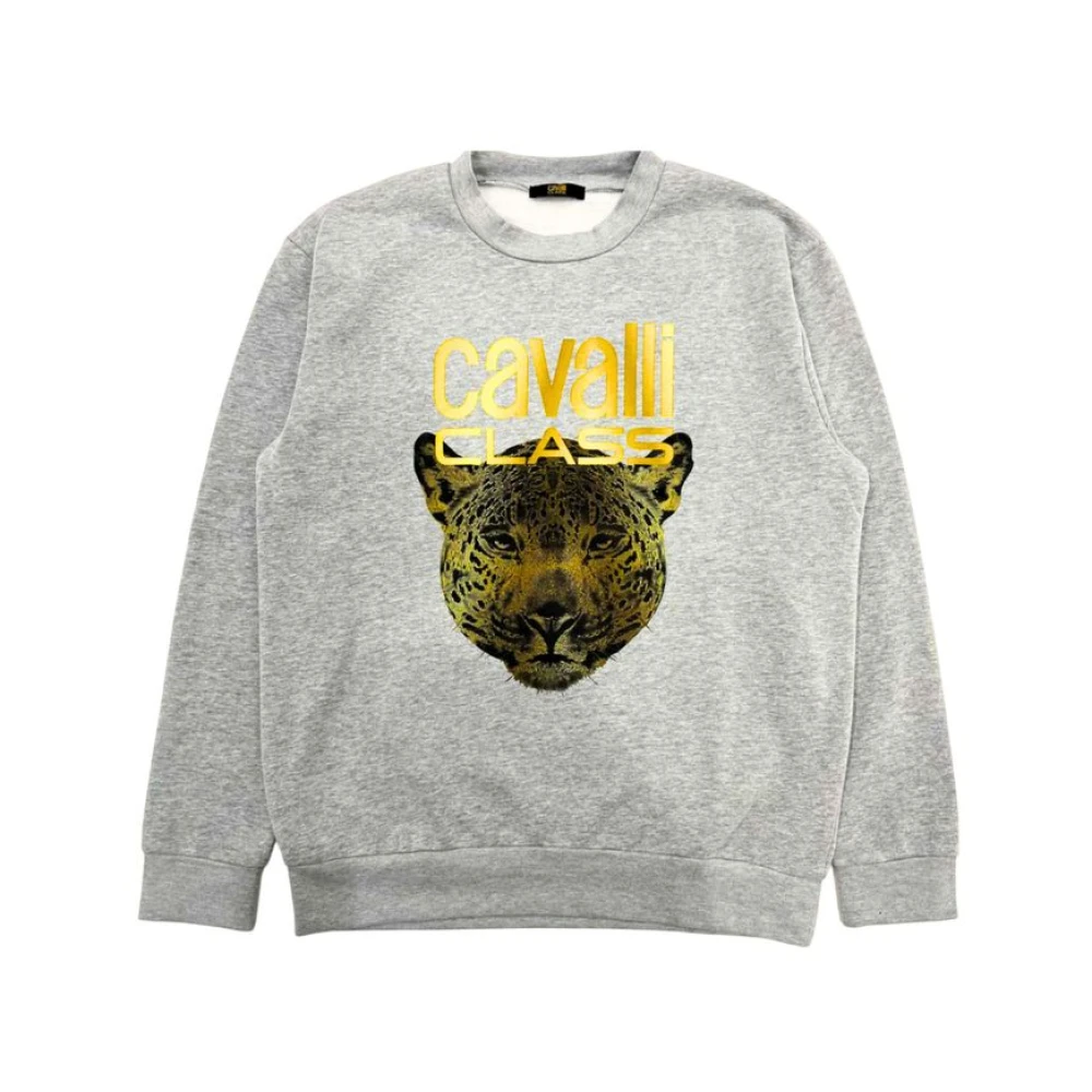 Sweatshirts & Hoodies > Sweatshirts - - Cavalli Class - Modalova