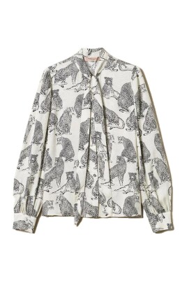 blouse-and-shirts