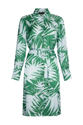 elegant-multicolour-dress-for-women