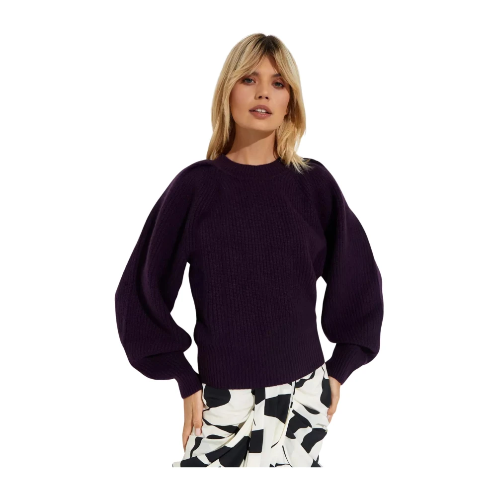 Isabel marant Paarse Wollen Kasjmier Trui Purple Dames