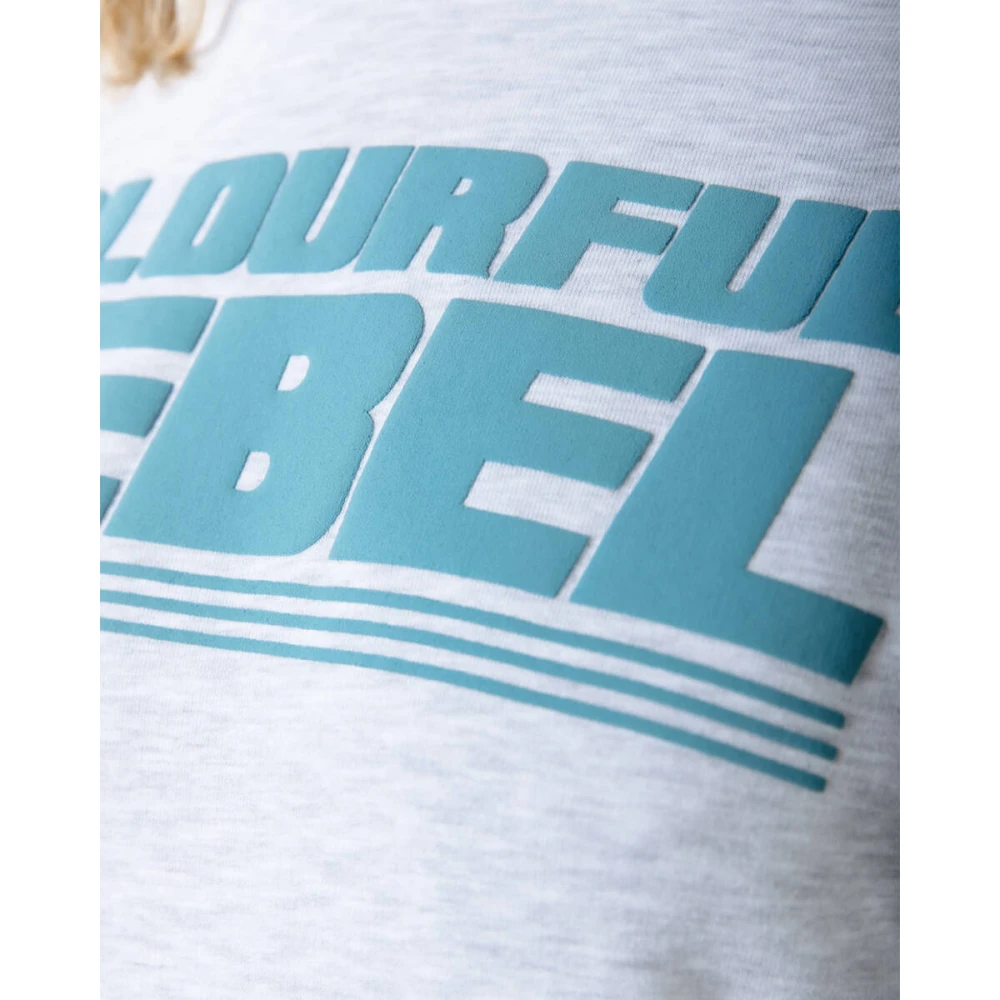 Colourful Rebel Grote Puff Logo Clean Hoodie Gray Dames
