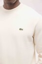 pull-basic