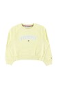 sweat-a-col-rond-brode-varsity