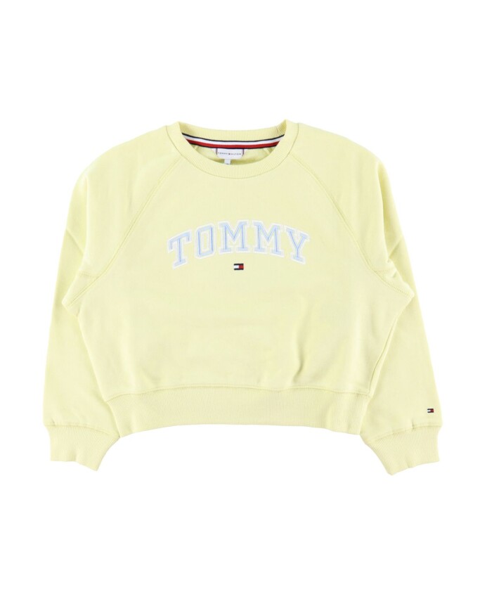 sweat-a-col-rond-brode-varsity