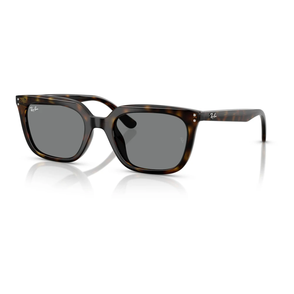 Ray-Ban Unisex Brown Rb4439d Sunglasses