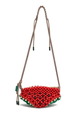 Watermelon Mini Bag