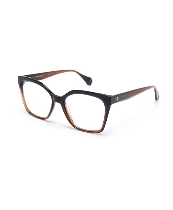 6966-2-optical-frame