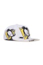 pittsburgh-penguins-platklep-pet