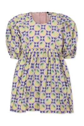 multicolor-strawberry-floral-short-dress