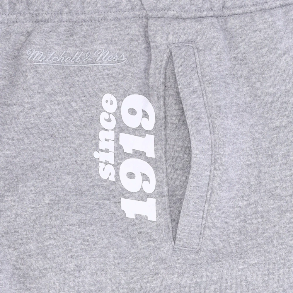 Mitchell & Ness Green Bay Packers Fleece Trainingsbroek Gray Heren