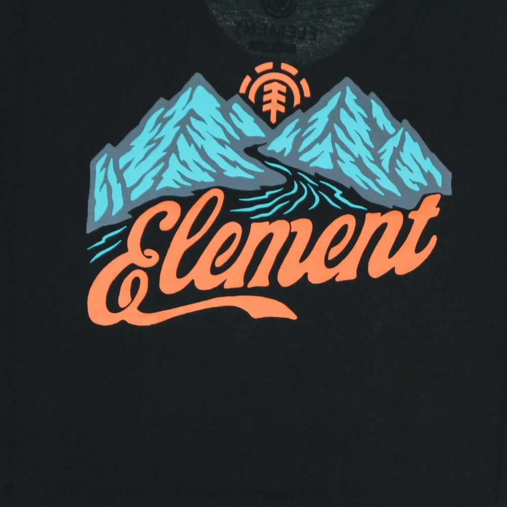 Element Zwart Heren T-shirt Black Heren
