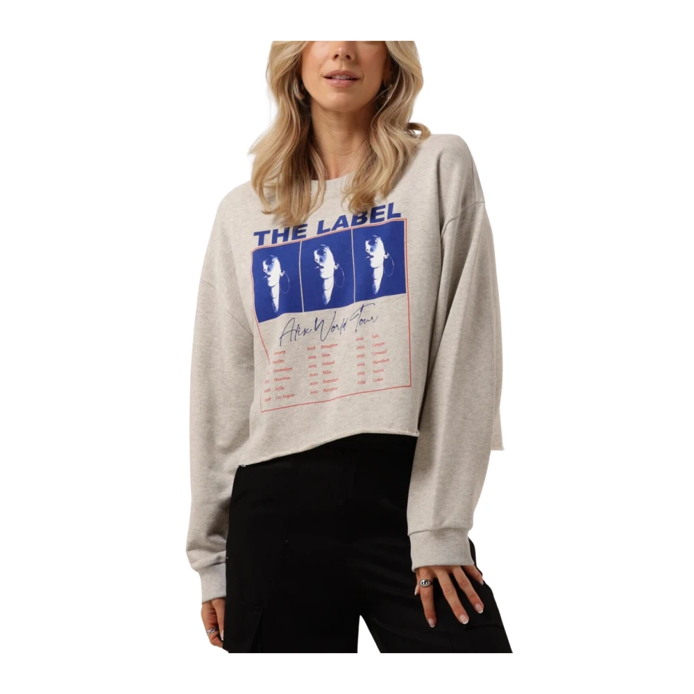 Alix The Label World Tour Cropped Sweater Gray Dames