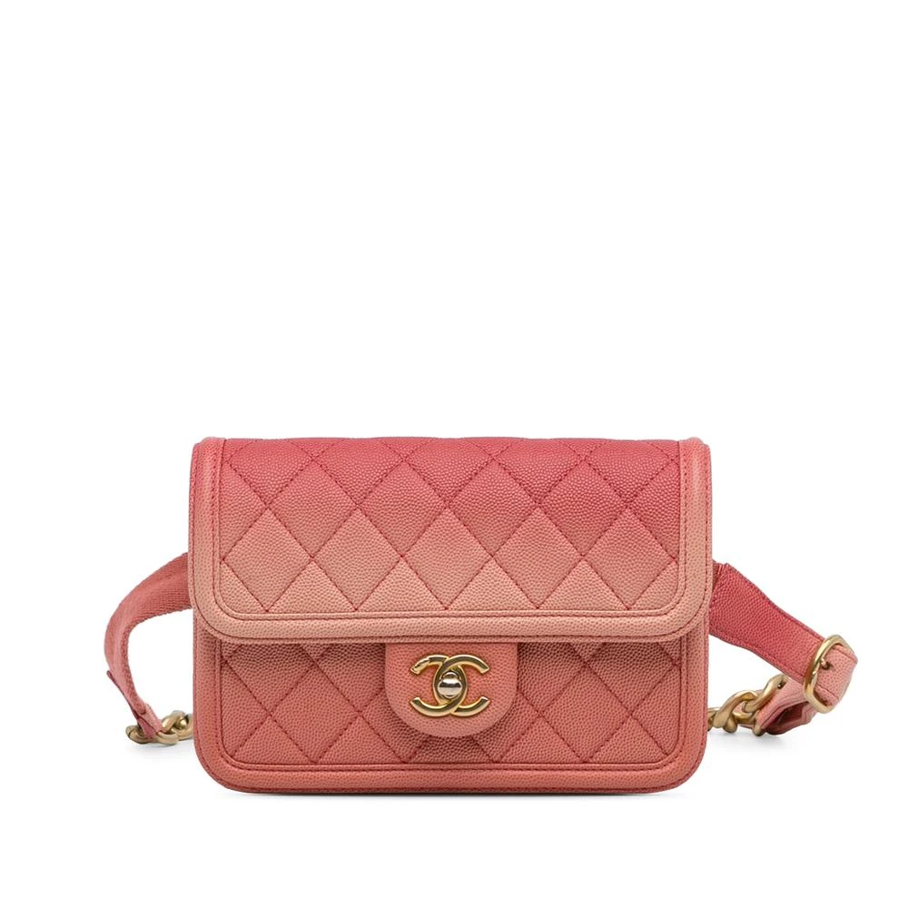 Chanel Vintage Women's Pink Pre-Owned Chanel Belt Bag Ombre Style