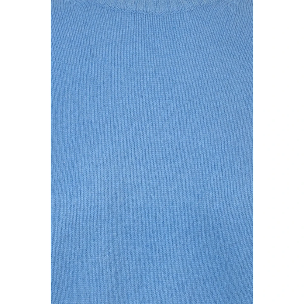 Ralph Lauren Truien Lichtblauw Blue Dames