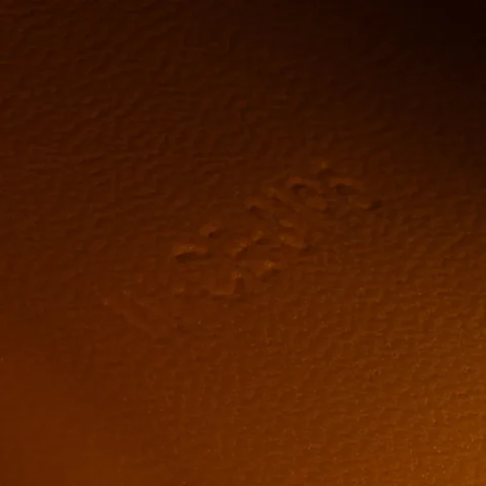 Celine Vintage Pre-owned Leather celine-bags Orange Dames