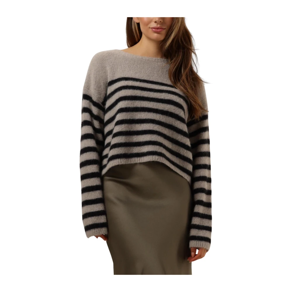 drykorn Bruine Sweaters & Vesten Imeny Multicolor Dames