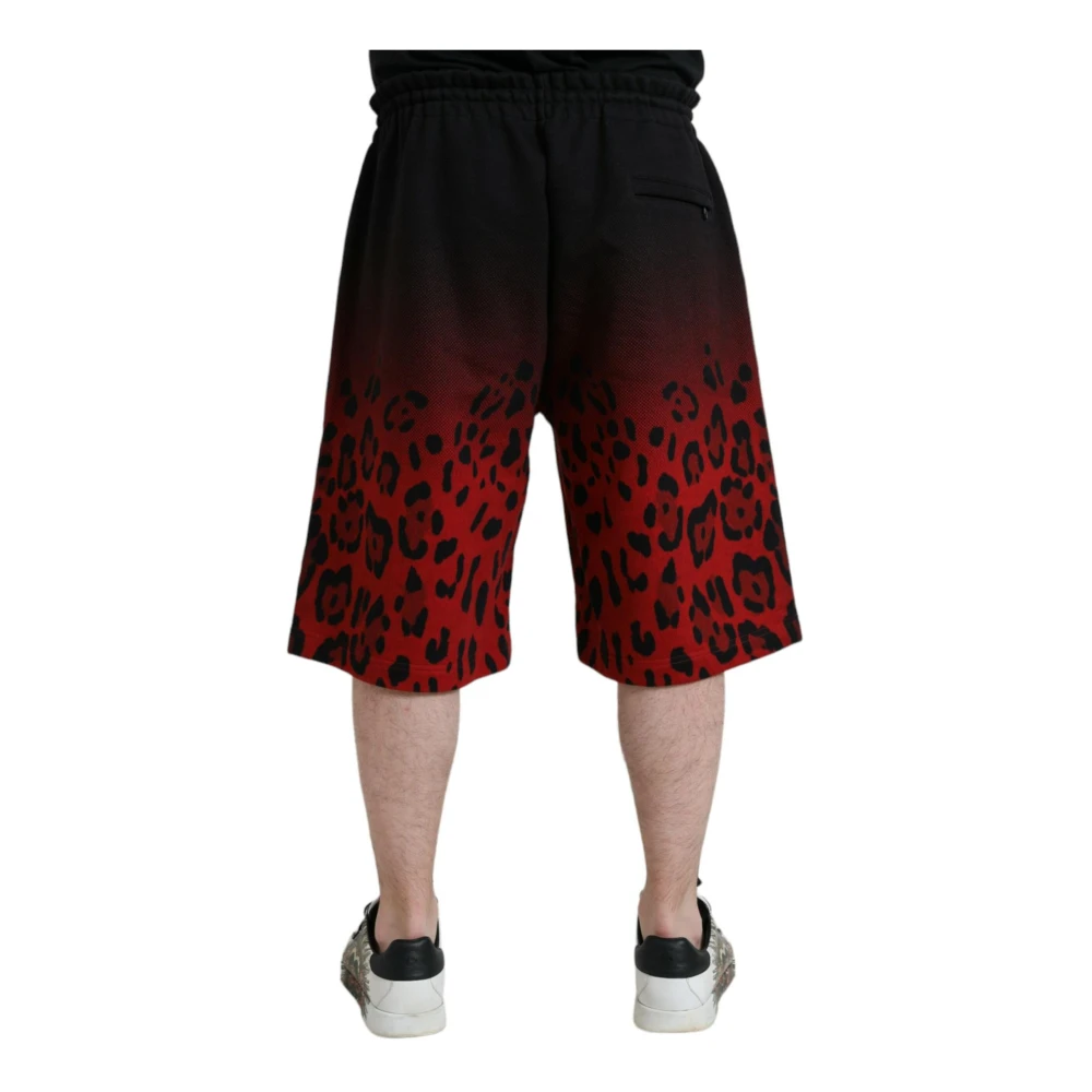 Dolce & Gabbana Leopard Print Bermuda Shorts Multicolor Heren