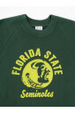 vintage-florida-state-seminoles-sweatshirt