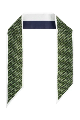 The Silk Scarf