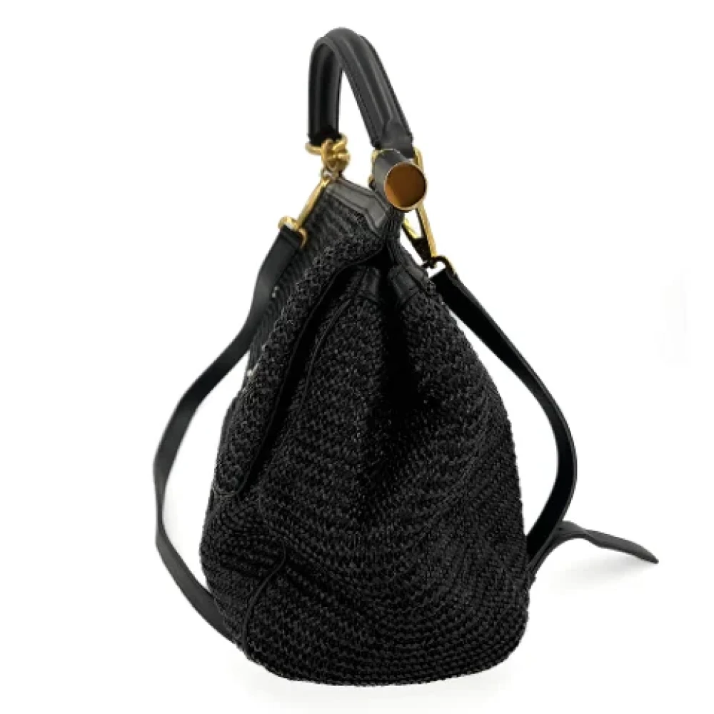 Dolce & Gabbana Pre-owned Fabric handbags Black Dames