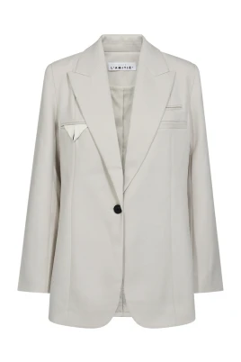 Elegant Single Blazer