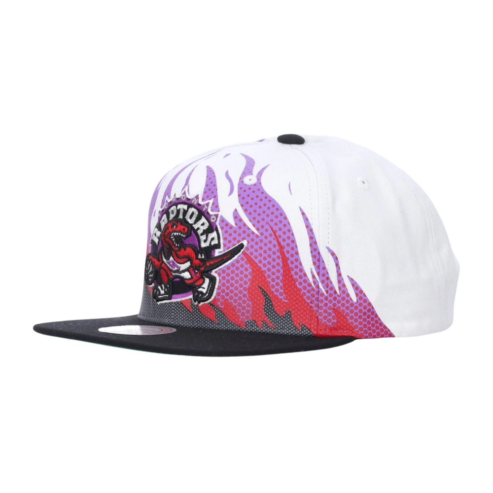 Mitchell & Ness Toronto Raptors Platte Klep Pet Multicolor Heren