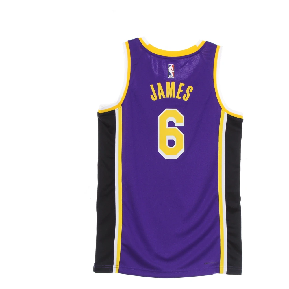 Jordan LeBron James Basketball Tank Top Purple Heren