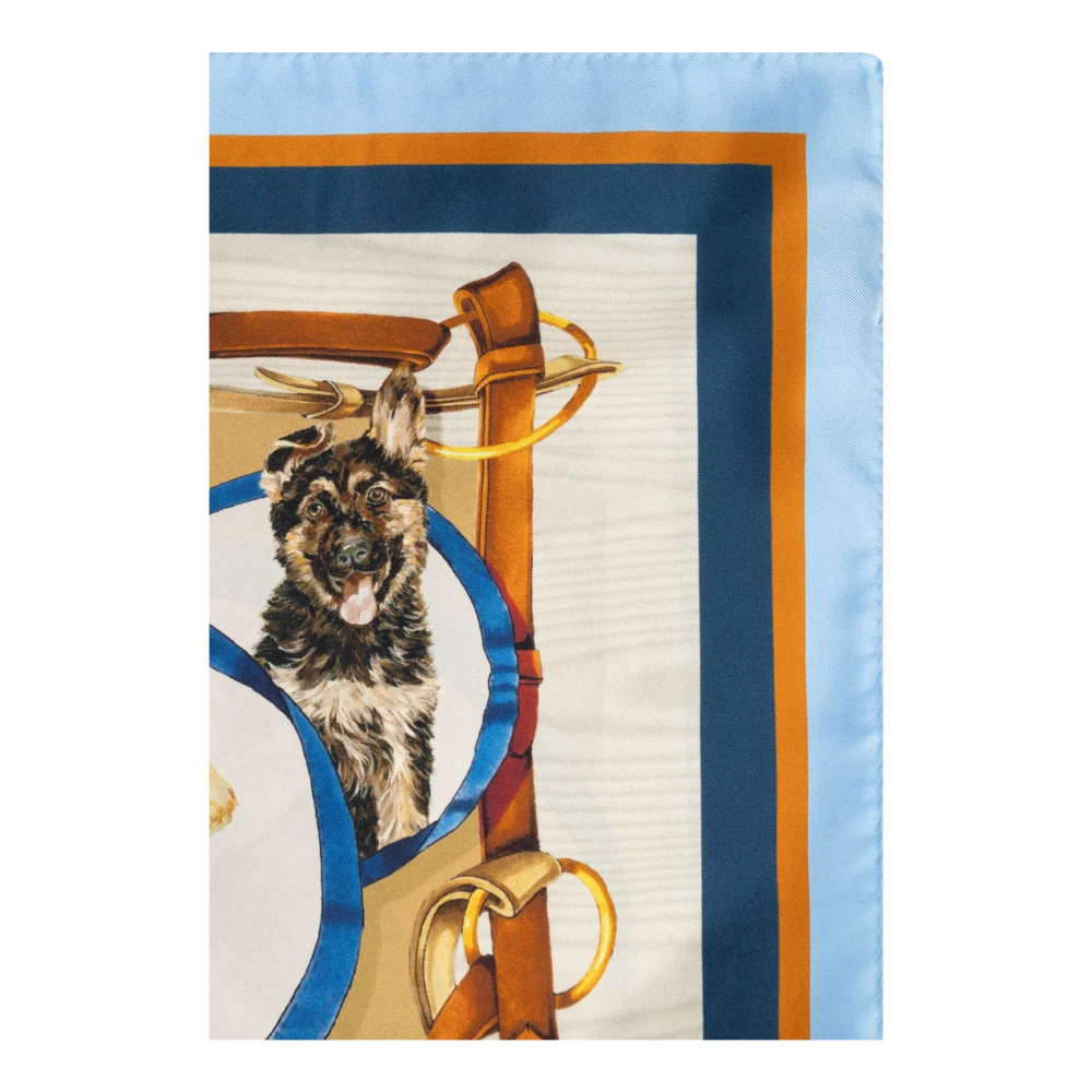 Dolce & Gabbana Zijden sjaal Multicolor Heren