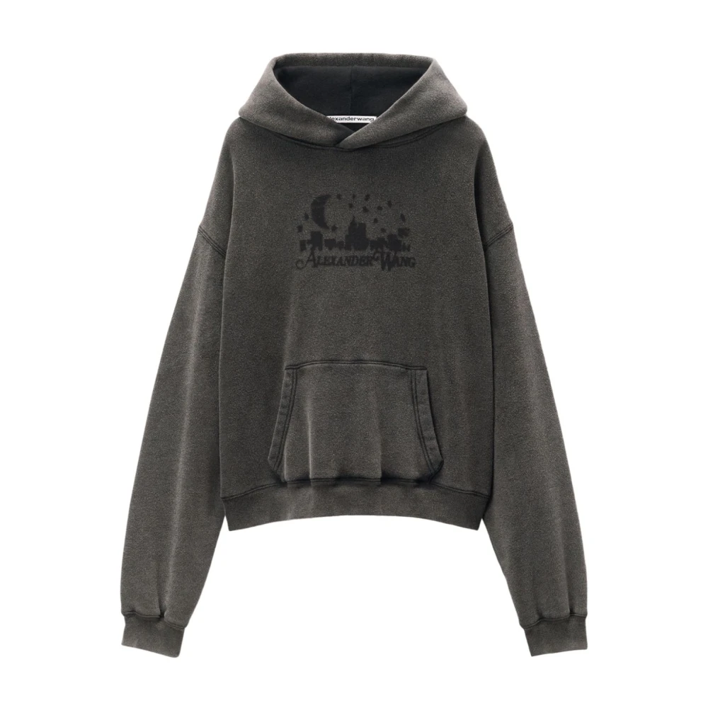 Alexander wang Grijze Sweater Collectie Gray Dames