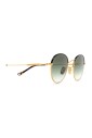 gobi-c-4-m-25-sunglasses