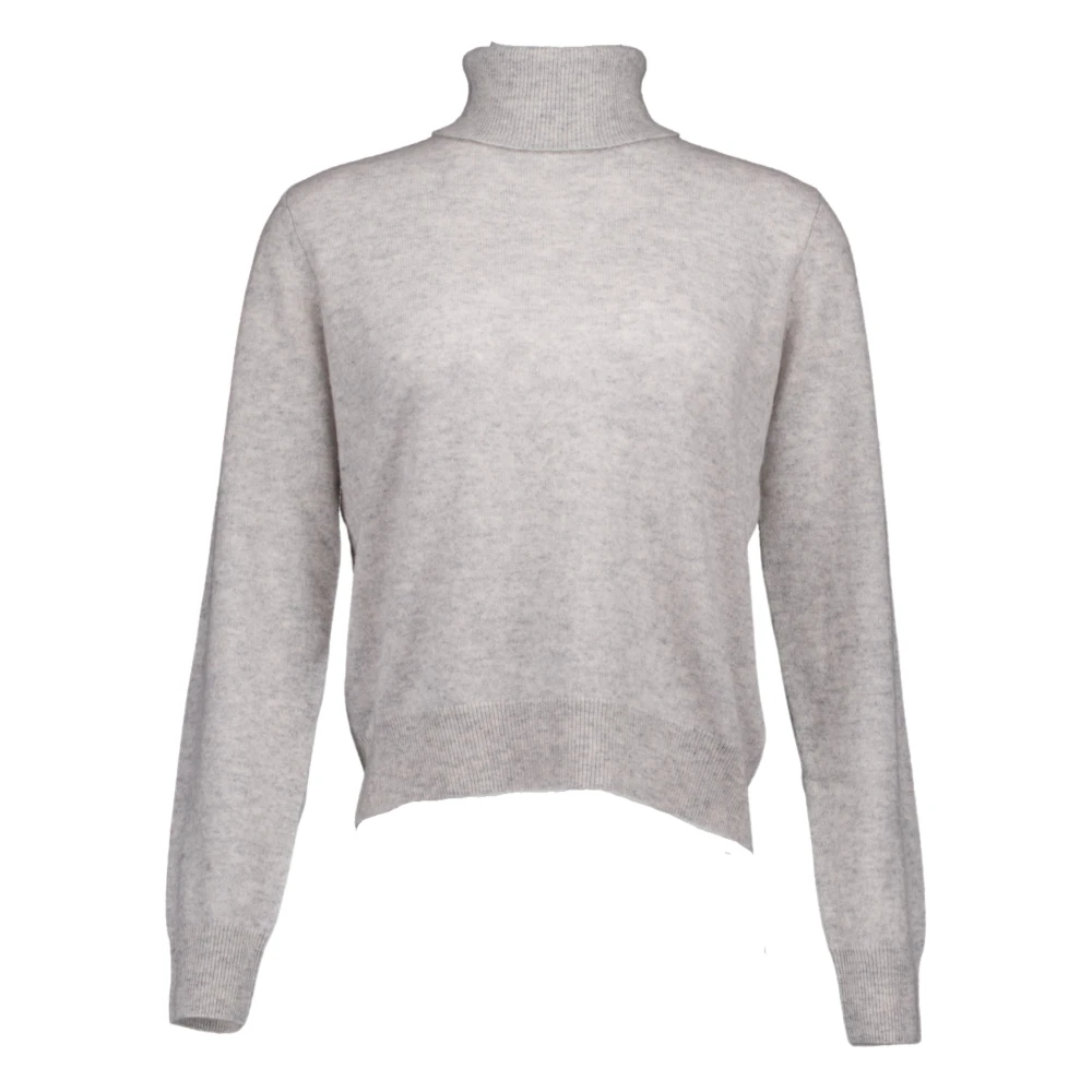 Absolut Cashmere Grijze Themys Truien Gray Dames