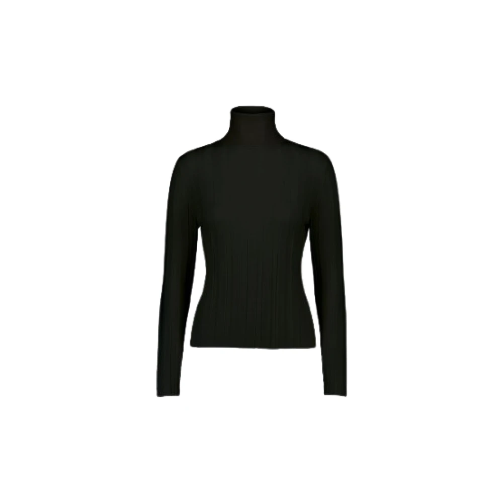 Allude Gezellig Gebreid Turtleneck Sweater Black Dames