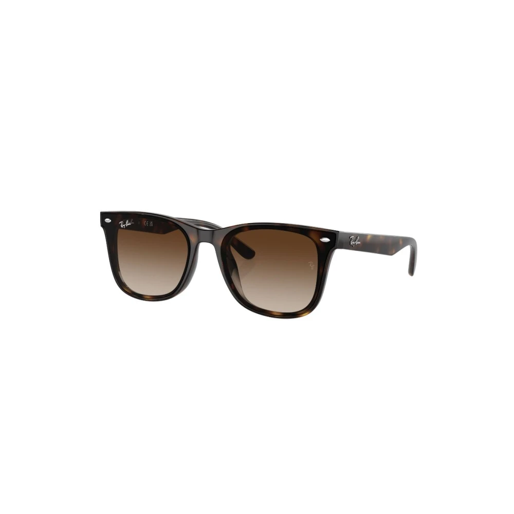 Ray-Ban Unisex Brown Sunglasses, 65 Mm, Rb4420 71013 Sunglasses