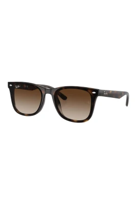 RB4420 71013 Sunglasses