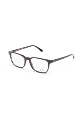rb5418-2012-optical-frame
