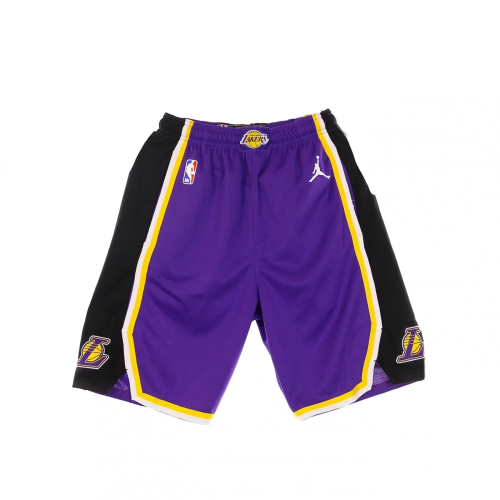 Jordan NBA Swingman Shorts - Statement Edition Purple, Herr