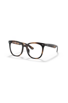 rb4379vd-2012-optical-frame
