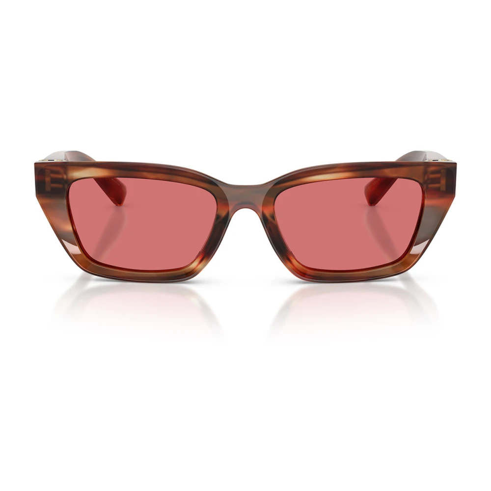 Dolce & Gabbana Donna Marrone Dg4532 Sunglasses