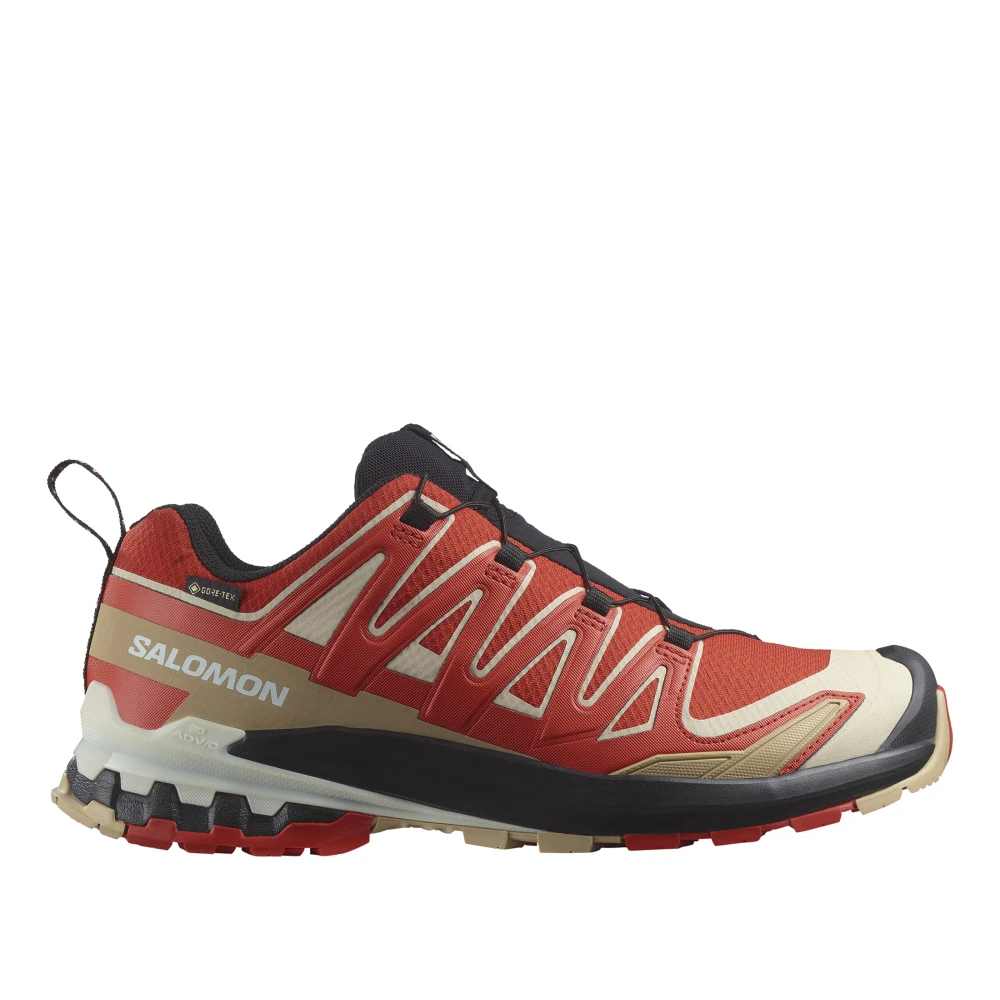 Salomon 3D V9 GTX Trail Löparskor Multicolor, Herr