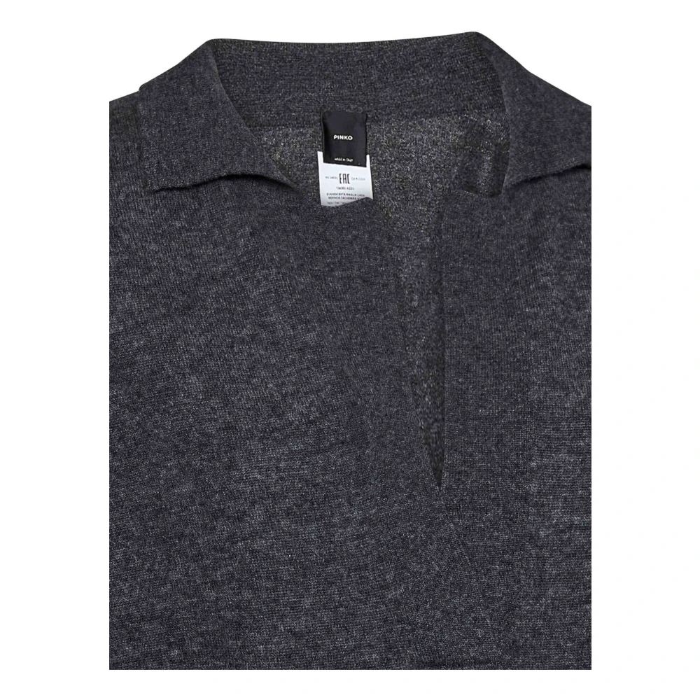 pinko Grijze V-hals Wol Kasjmier Trui Gray Dames